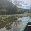 07 Aktion Juli 25 Kanufahrt